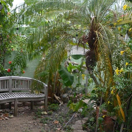 Palmetto Guesthouse Isla Culebra Ngoại thất bức ảnh