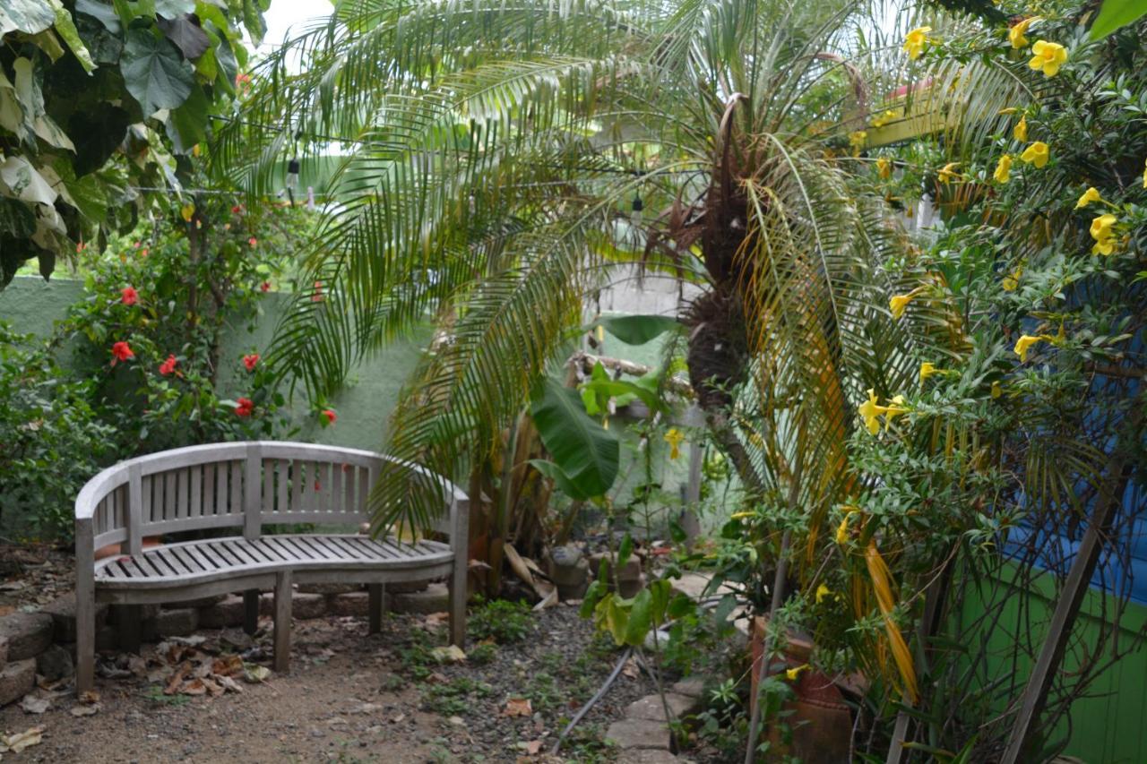 Palmetto Guesthouse Isla Culebra Ngoại thất bức ảnh
