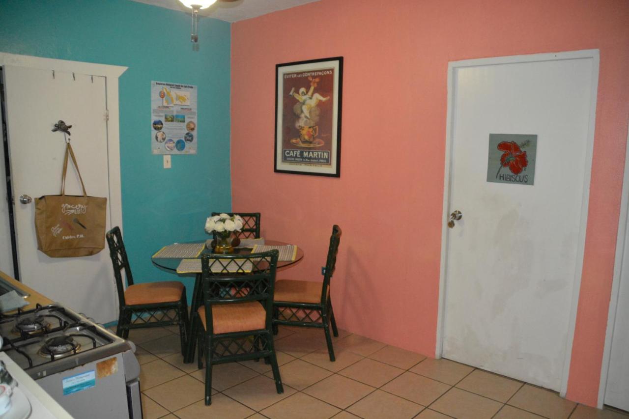 Palmetto Guesthouse Isla Culebra Ngoại thất bức ảnh