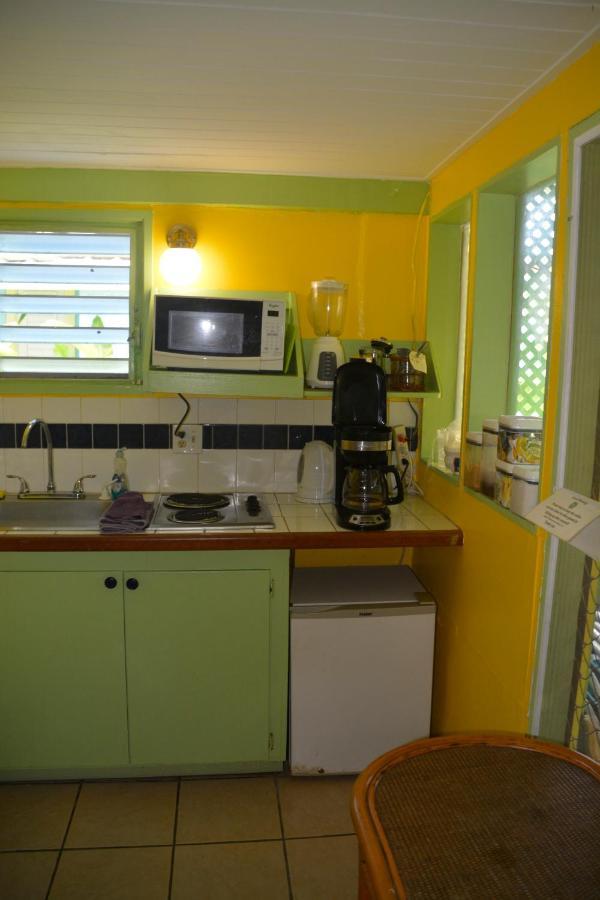 Palmetto Guesthouse Isla Culebra Ngoại thất bức ảnh